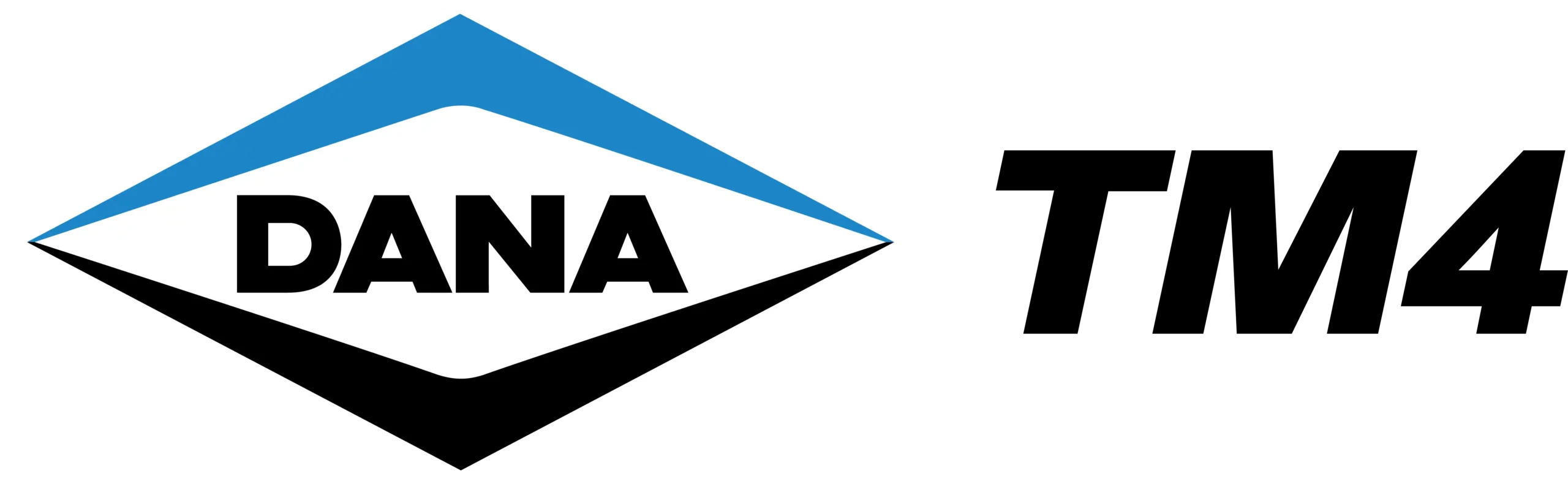 DanaTM4_A_cor_k-PNG